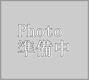 コリー トライ モネ 画像 写真